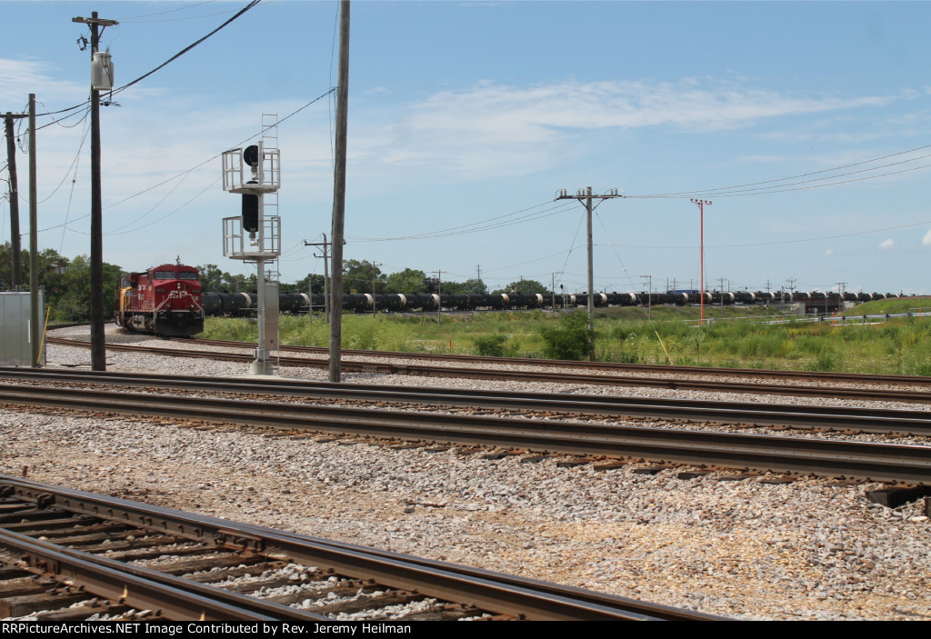 CP 8630 & UP 4194 (2)